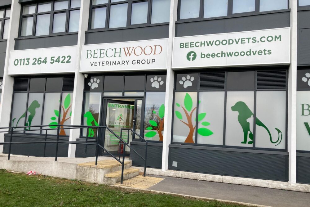 278327793_5461162487251234_5474172612131581928_n(1)