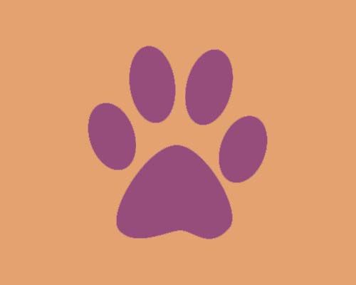 Example Image